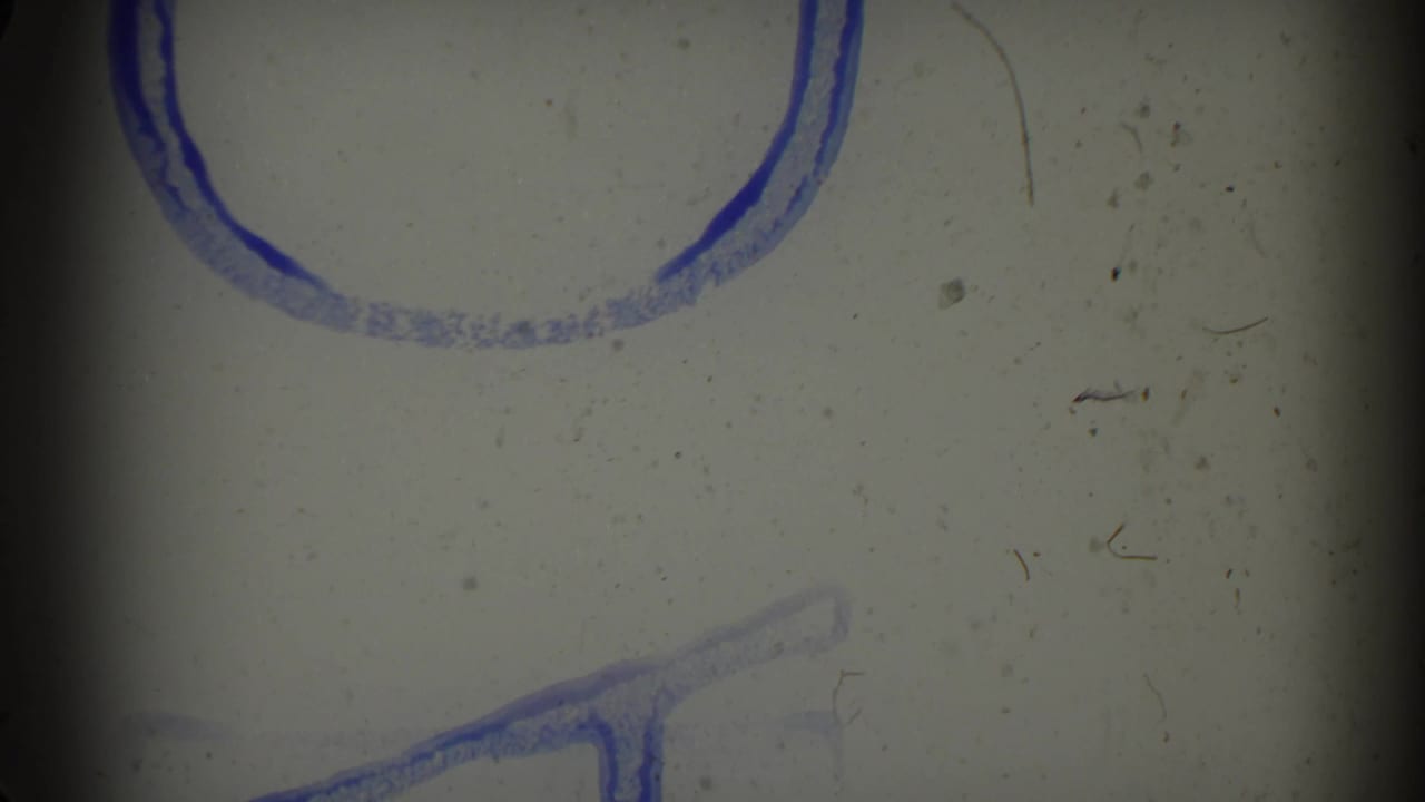 Film leader or overexposed frame with blue handwritten markings and dust.