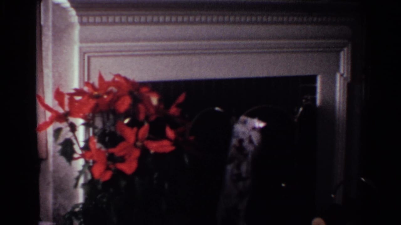 1959 Ohio private living room detail with red poinsettia, pale mantel trim, and a dark fireplace area in soft 8mm color.