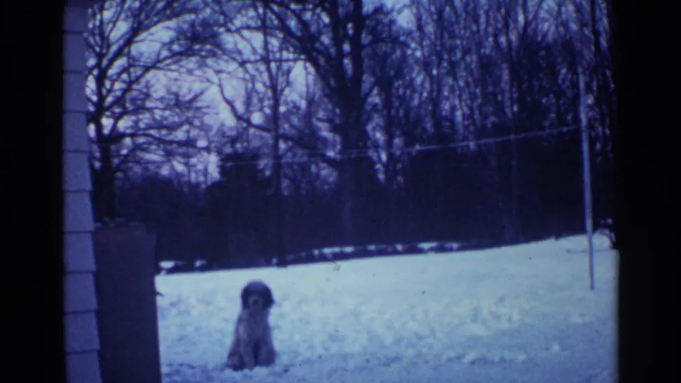 1959 Ohio 8mm frame showing a small dog low in the snow, with winter trees behind the yard.