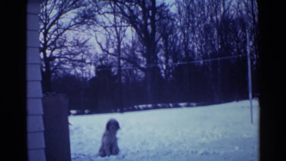 1959 Ohio winter frame of a fluffy dog sitting in snow near a house, with bare trees beyond.