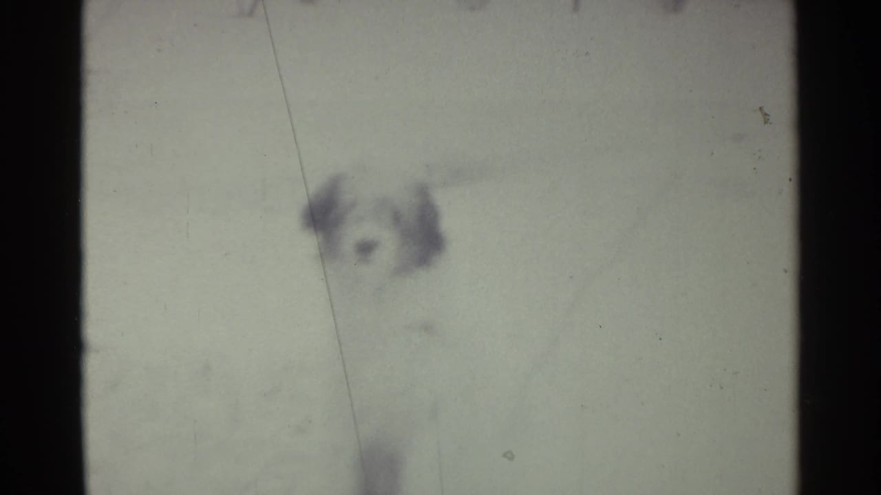 A fluffy light-colored dog appears in a snowy Ohio yard in soft 8mm focus, with dark gate edges framing the scene.
