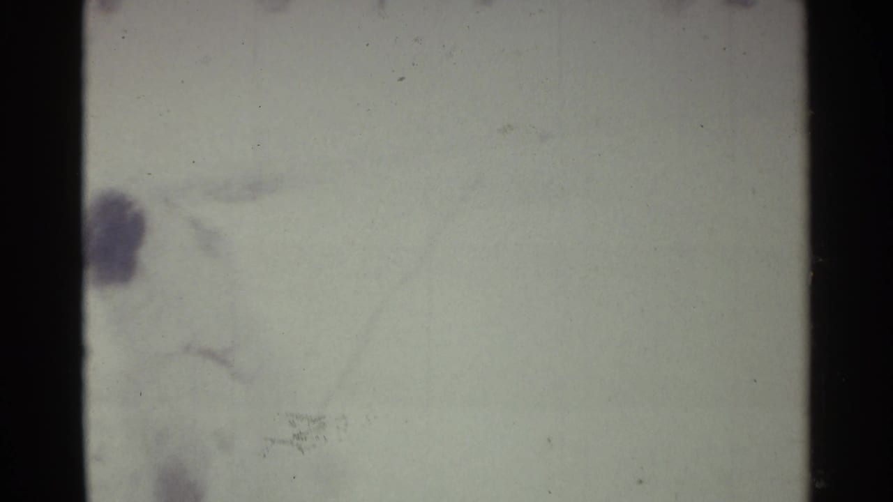 The dog is partly blurred near the edge of a snow-bright winter frame, with visible film grain and gate shadow.