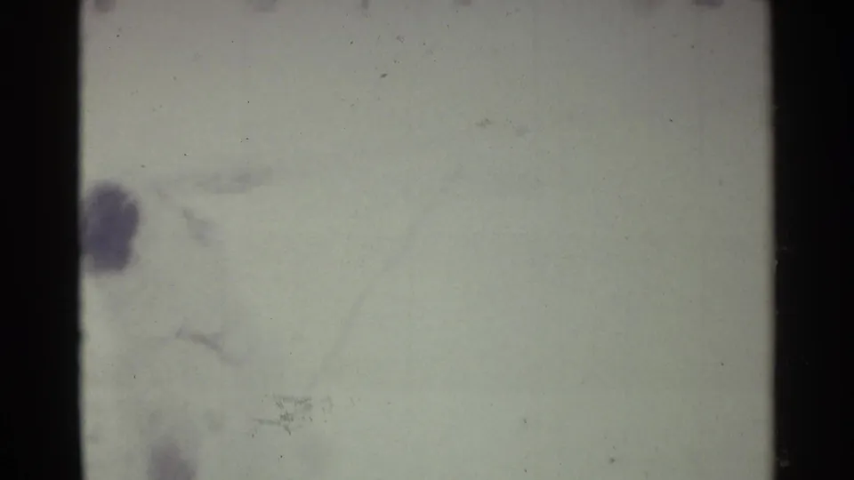 The dog is partly blurred near the edge of a snow-bright winter frame, with visible film grain and gate shadow.