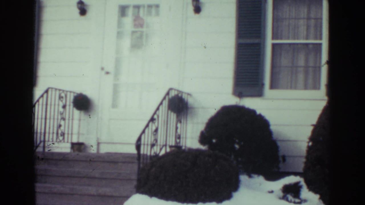 Snow-covered shrubs in front of a white house with steps, railings, shutters, and curtained windows.