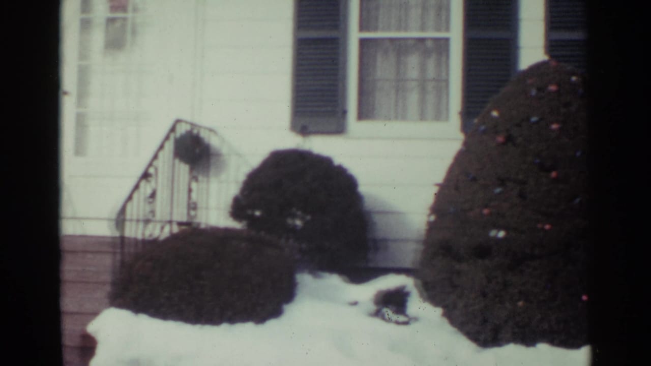 1959 Ohio frame with snow-covered landscaping beside a white house, including a rounded shrub, dark shutters, and curtained windows.
