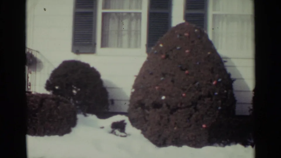 1959 Ohio home-movie frame revealing a large clipped shrub decorated with small colored holiday lights in a snowy front garden.