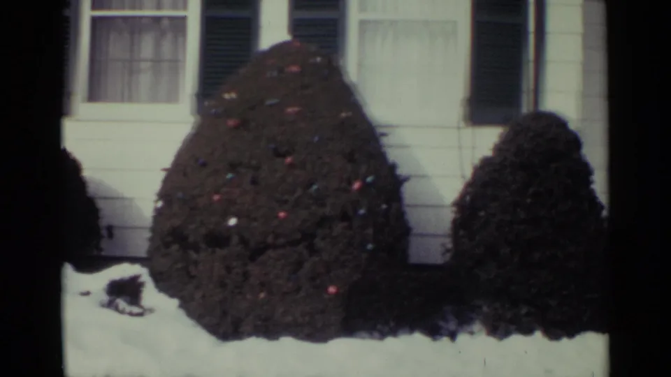 1959 Ohio winter frame showing a lighted front-yard shrub, snow at its base, and the white house facade behind it.