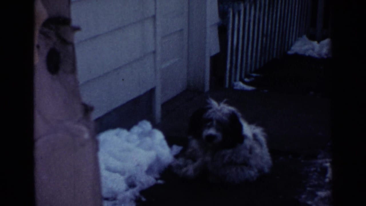 1959 Ohio 8mm frame of a shaggy dog resting on a snowy doorstep beside a paneled house exterior.