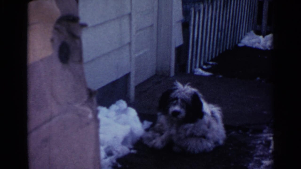 1959 Ohio home-movie frame showing a shaggy dog on a snowy porch area outside a paneled house.