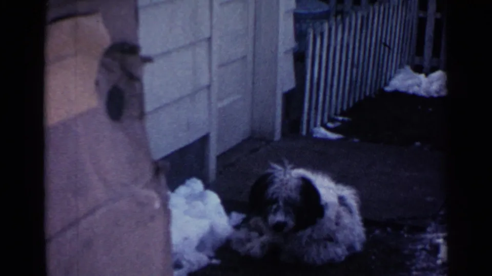 1959 Ohio 8mm still with the shaggy dog partly low in frame near snow, siding, and a doorway edge.