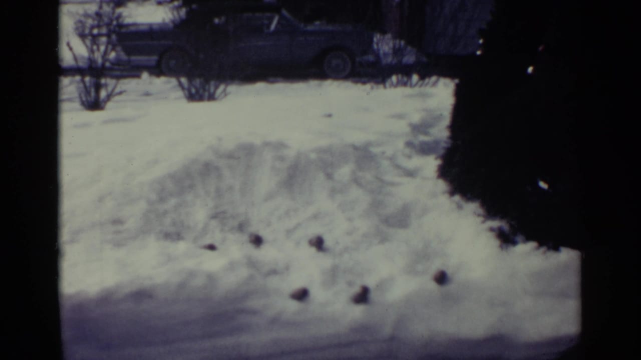 1959 Ohio home-movie frame showing piled snow, bare shrubs, and a parked car beyond the yard.