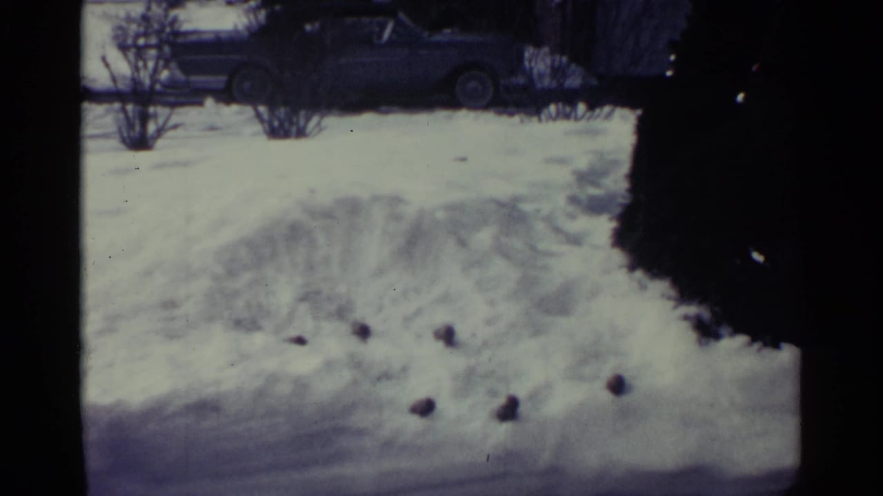 1959 Ohio winter yard view with snow tracks, bare shrubs, scattered dark objects, and a parked car in back.
