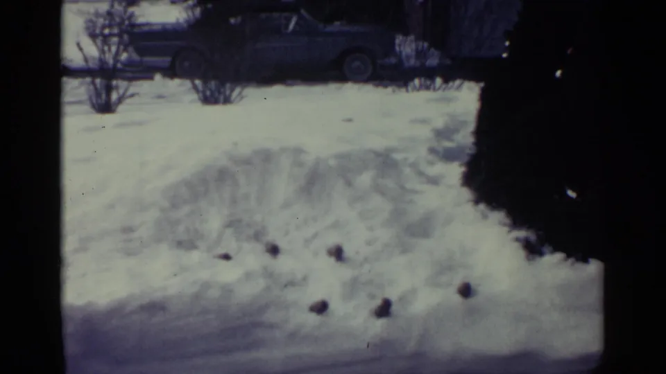 1959 Ohio winter yard view with snow tracks, bare shrubs, scattered dark objects, and a parked car in back.