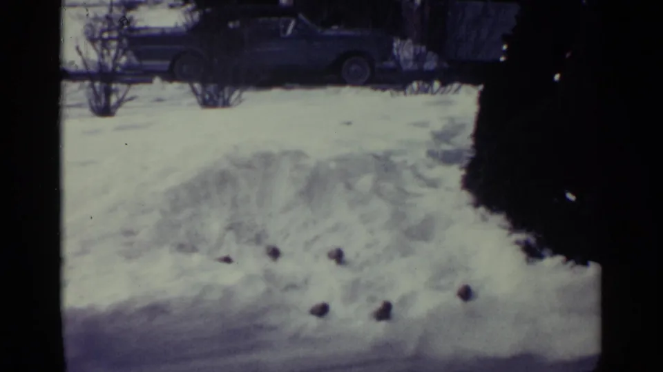 1959 Ohio 8mm frame of a snow-covered residential yard with shrubs, dark objects in the snow, and a car above.