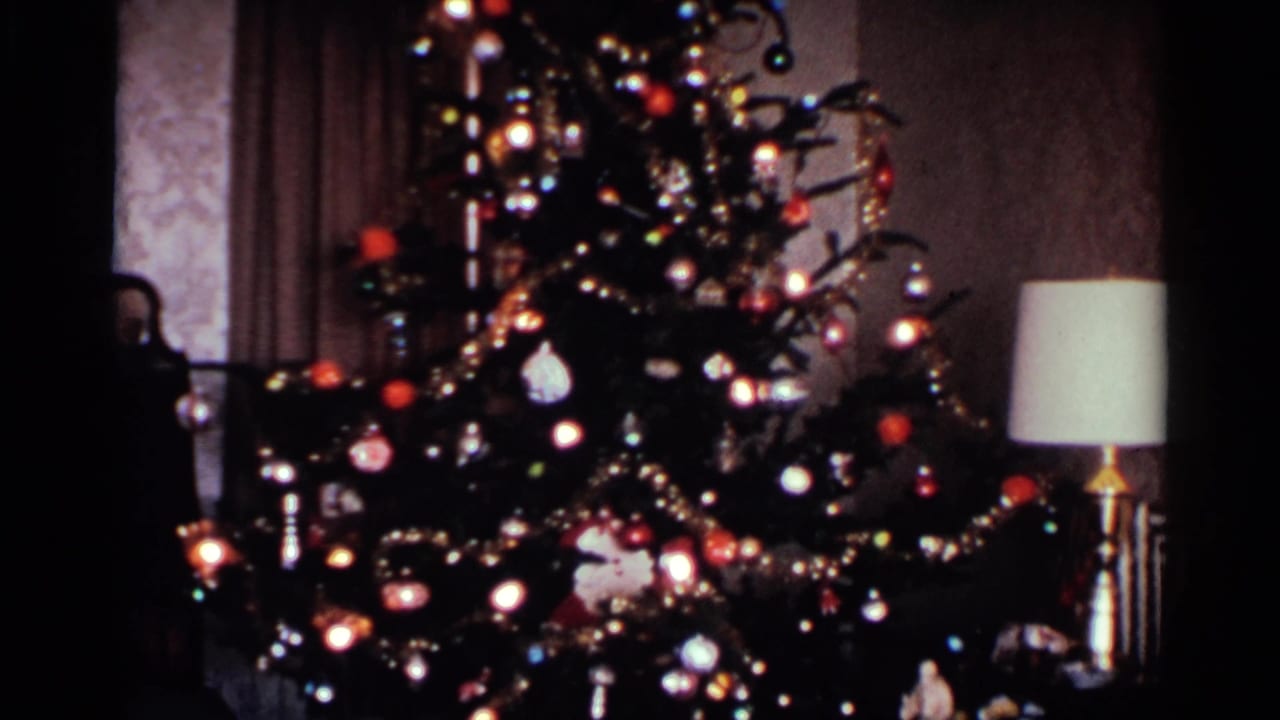 Tall decorated Christmas tree with glowing lights in a dark living room.