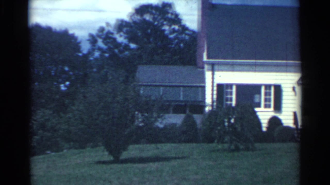White suburban house with black shutters, lawn, shrubs, and trees.