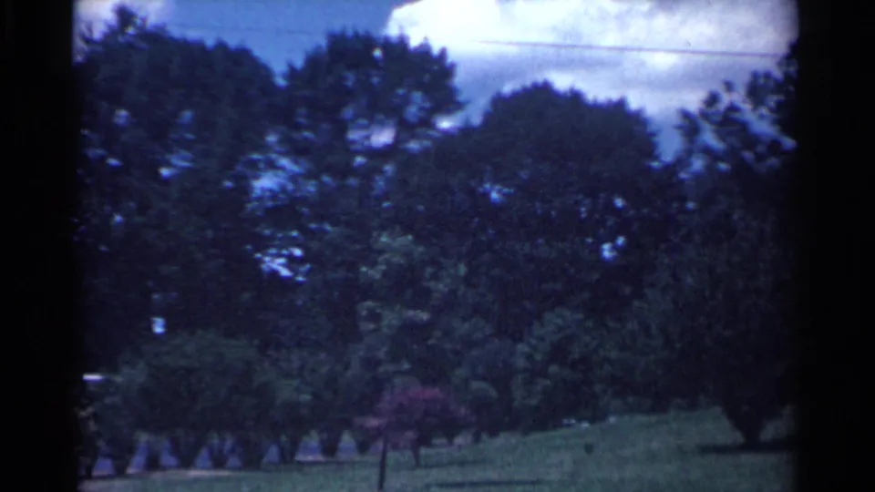 1959 Ohio home-movie frame of a sloping residential lawn, dense trees, shrubs, and blue evening sky.