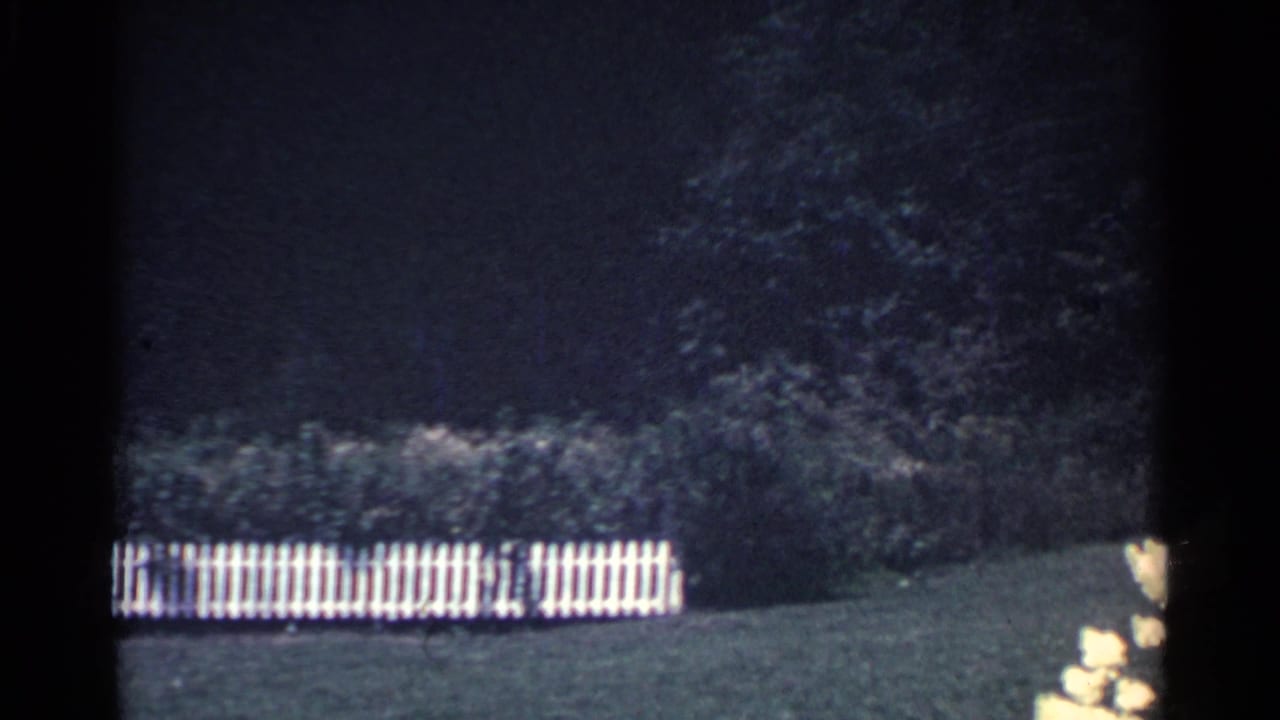 White picket fence beside a dark tree-lined lawn.