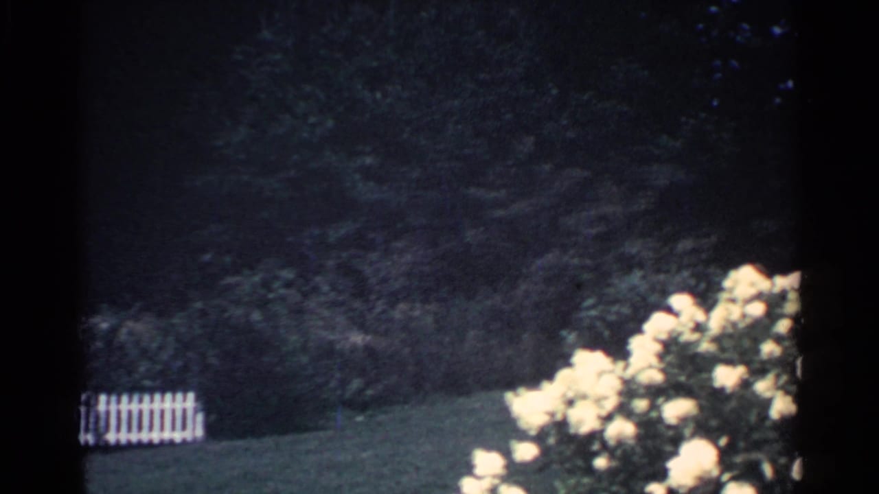 Small white fence section and pale roses at the edge of a lawn.