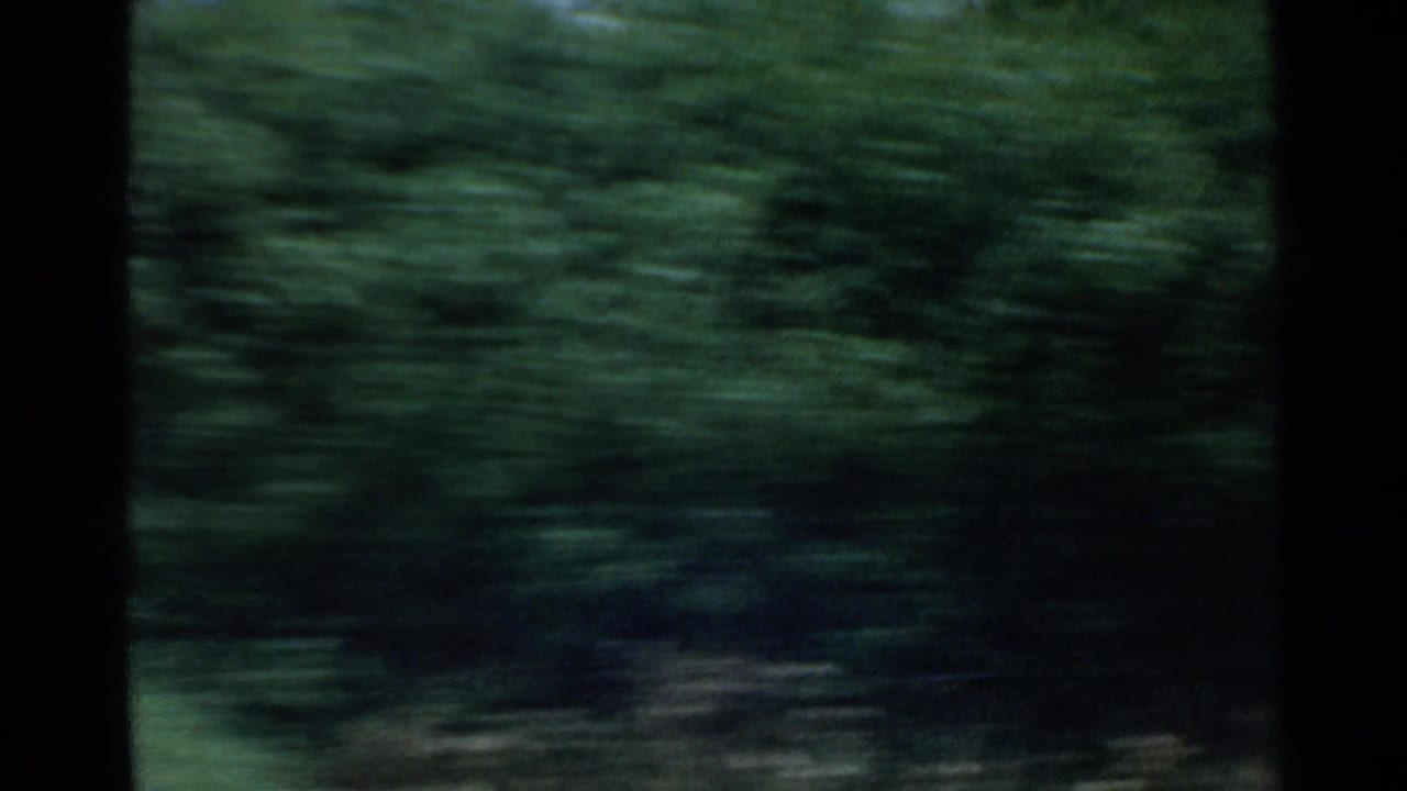 Blurred green roadside foliage viewed from a moving vehicle.