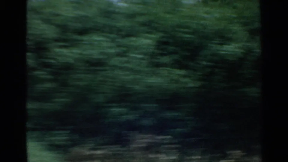 Motion-blurred 1959 San Francisco travel frame with dense green roadside foliage passing the camera.