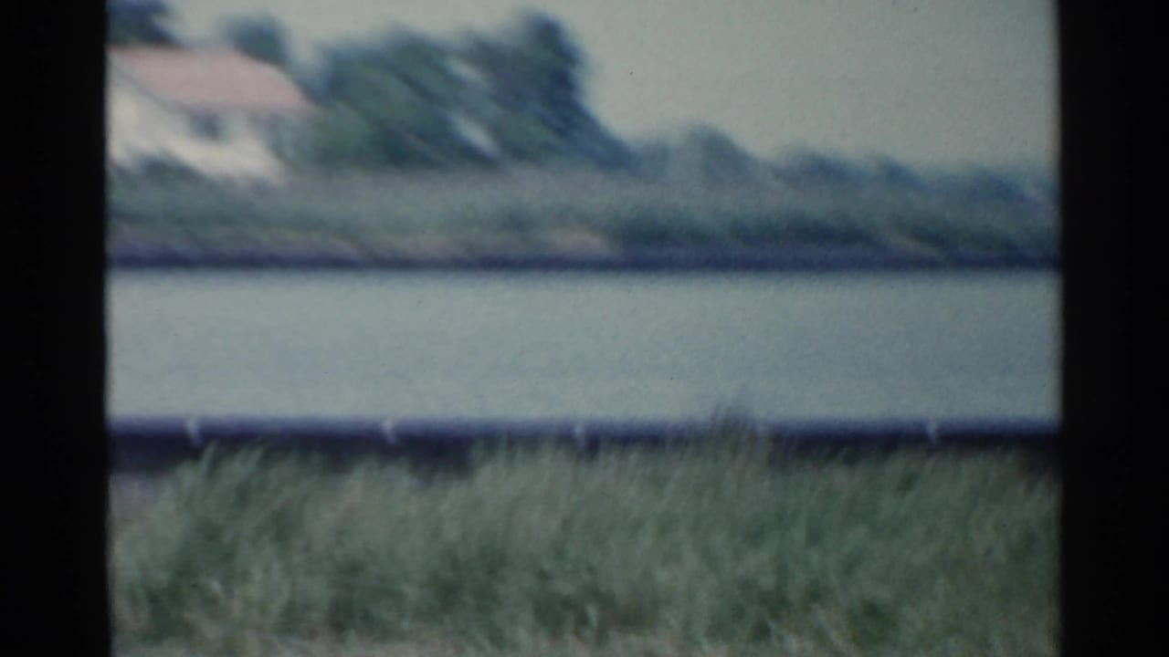 Blurred grass and water or sky with a distant low building at the upper left.