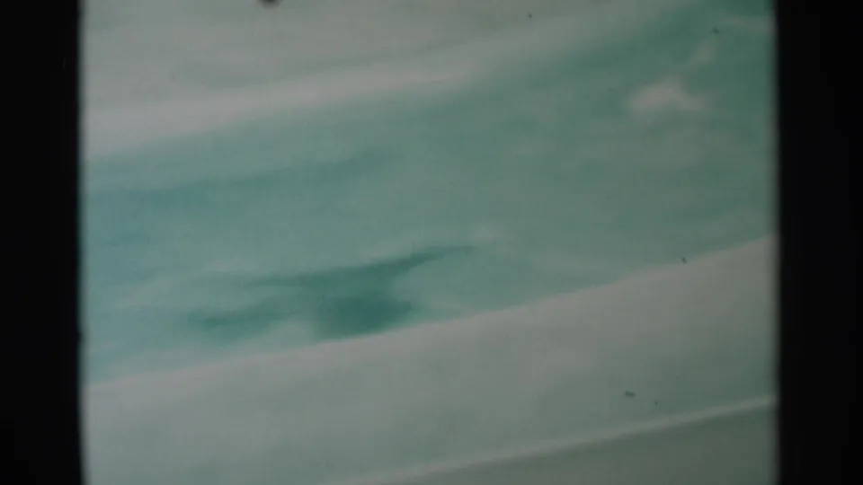1959 South Dakota 8mm frame with a blurred seal near the lower pool area, white concrete edging, and heavy contact-sheet borders.