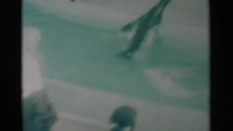 1959 South Dakota 8mm frame showing a seal in a leap or fast movement over the zoo pool, with teal-green film color and soft amateur focus.