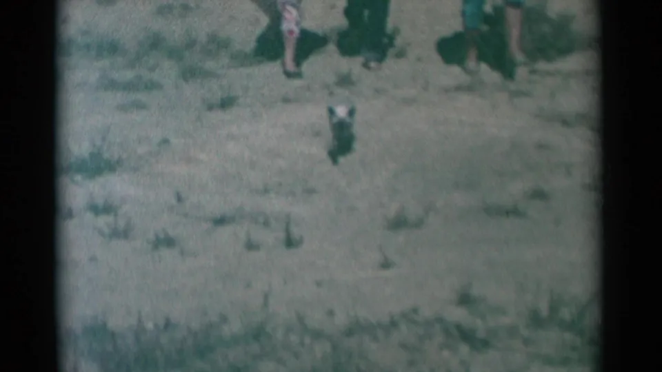 1959 South Dakota 8mm frame showing a Siamese cat in a grassy open area with lower legs of people visible behind it.