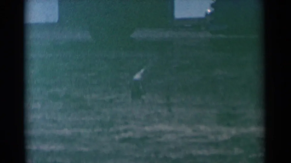 Faded 1959 South Dakota 8mm frame with the cat farther across the lawn near shade and a partial building edge.