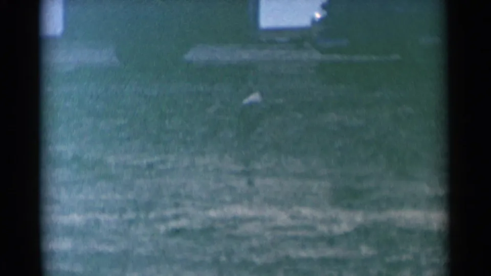 Small dog in a South Dakota field in 1959 home-movie footage, with a dark parked vehicle and low structures behind it.