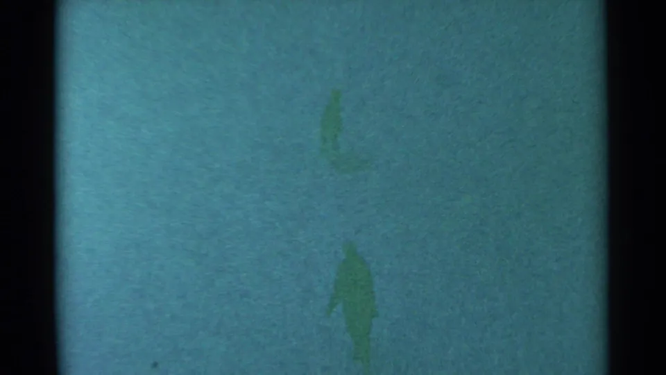 A distant figure appears in the open South Dakota field, barely defined through the green-blue 8mm film texture.