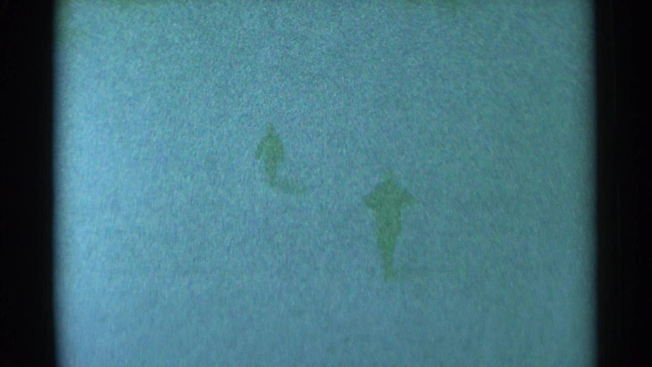 Two small dark figures remain faintly visible against a pale blue snowfield.