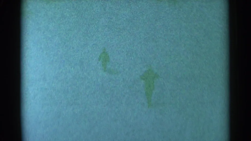 The walkers are barely defined in the grainy 1959 South Dakota snow scene, with no clear facial detail visible.