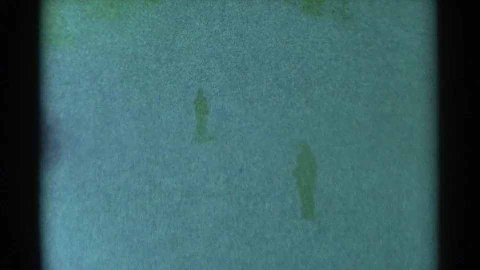 1959 South Dakota 8mm frame showing a tiny indistinct figure on a green-tinted snowy hillside.