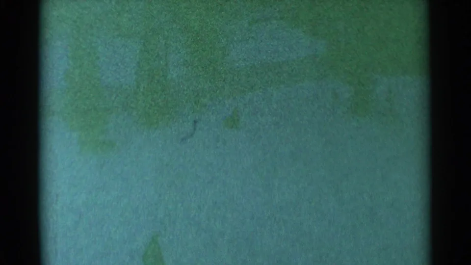 Green-tinted 8mm view of a snowy South Dakota slope with an indistinct figure low in the frame.