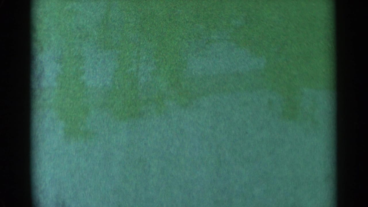 Faded green 8mm frame with dark side borders and mottled film texture.