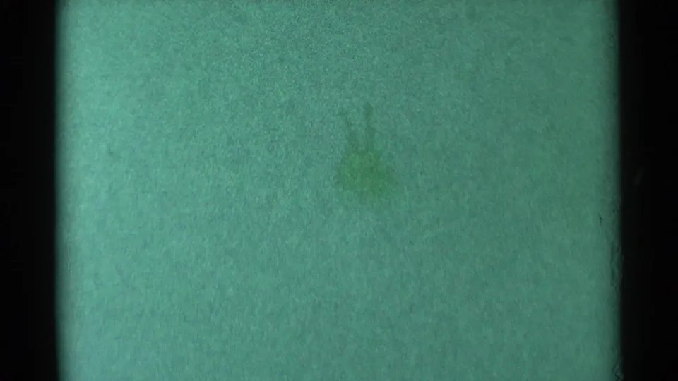 Soft 8mm frame of green-tinted snow in South Dakota, with little discernible subject detail visible.