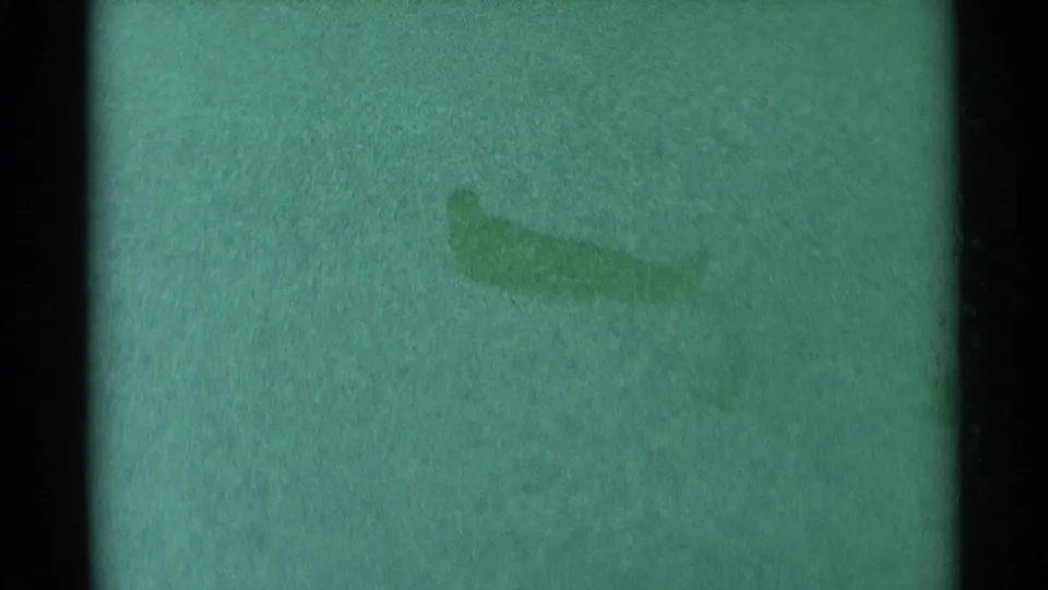 1959 South Dakota 8mm frame with a small dark sledding form moving across a snowy hillside.