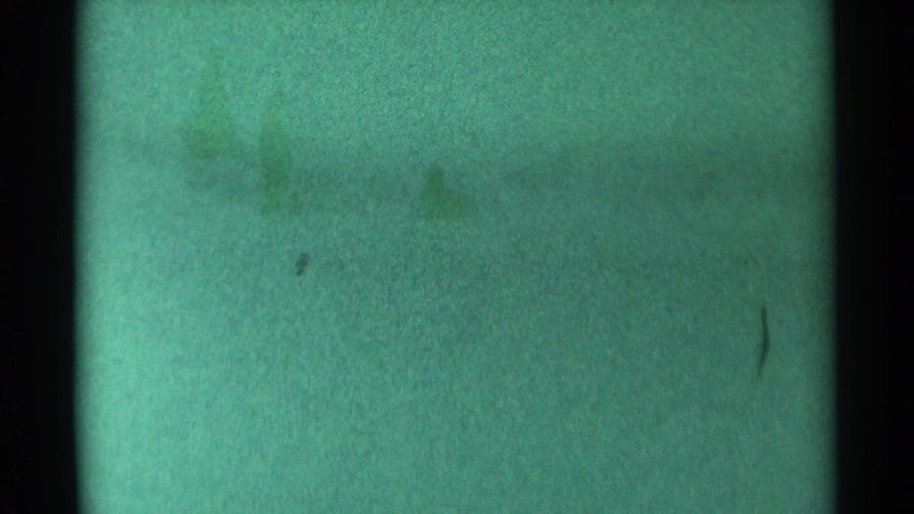 Green-tinted blank 8mm frame with black edges, grain, dust, and faint stains.
