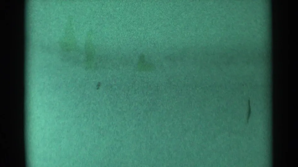 1959 South Dakota 8mm frame showing mostly blank green-tinted film with black gate edges, grain, dust specks, and indistinct marks.