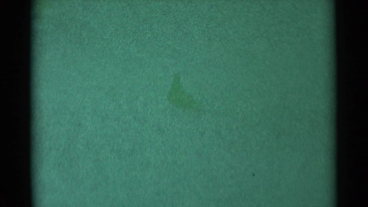 Green blank film frame with black border, faint mottling, dust, and heavy grain.