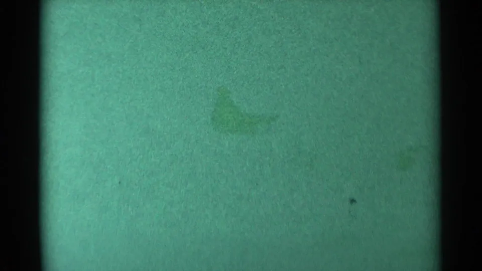 1959 South Dakota 8mm frame showing green-tinted damaged film, a faint central smudge, black frame edge, dust, and coarse grain.