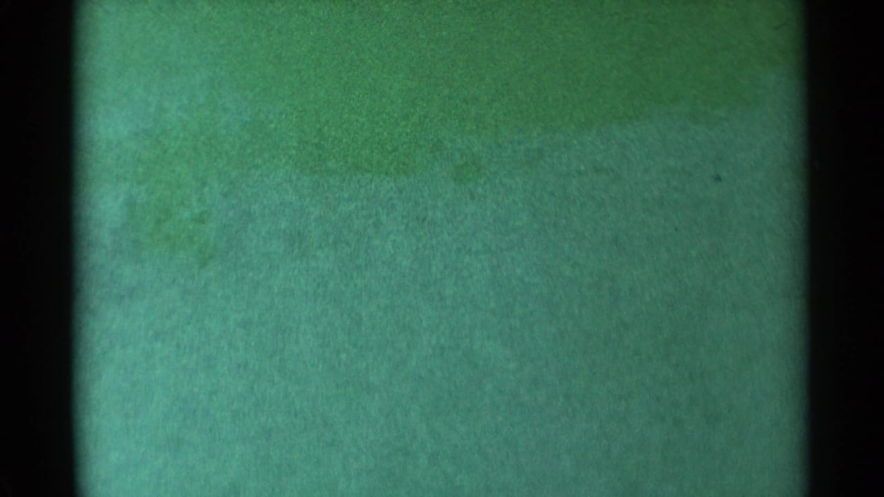 1959 South Dakota source frame appears as green-cast 8mm film texture with dark vertical borders and no discernible sledder or landscape detail.