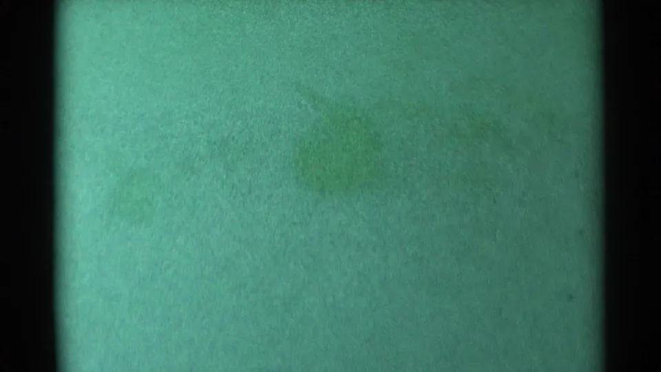 Final sampled frame from the 1959 South Dakota source shows green-cast 8mm film grain and dark side edging without a clearly identifiable person or location.