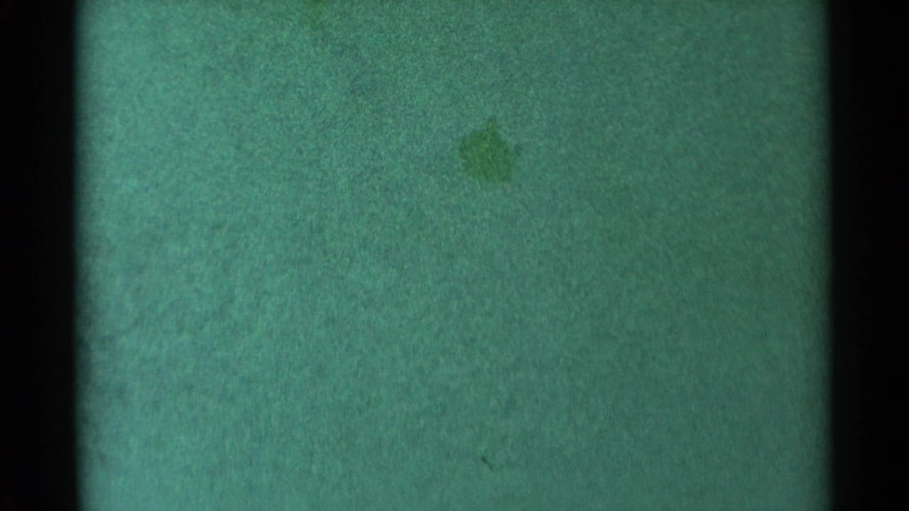 Green snow field with dark vertical divider and faint blotches.