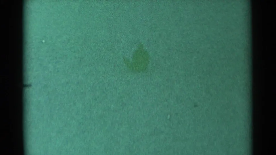 1959 8mm winter frame with green-tinted snow, a horizontal exposure shift, dark film borders, and indistinct surface marks.