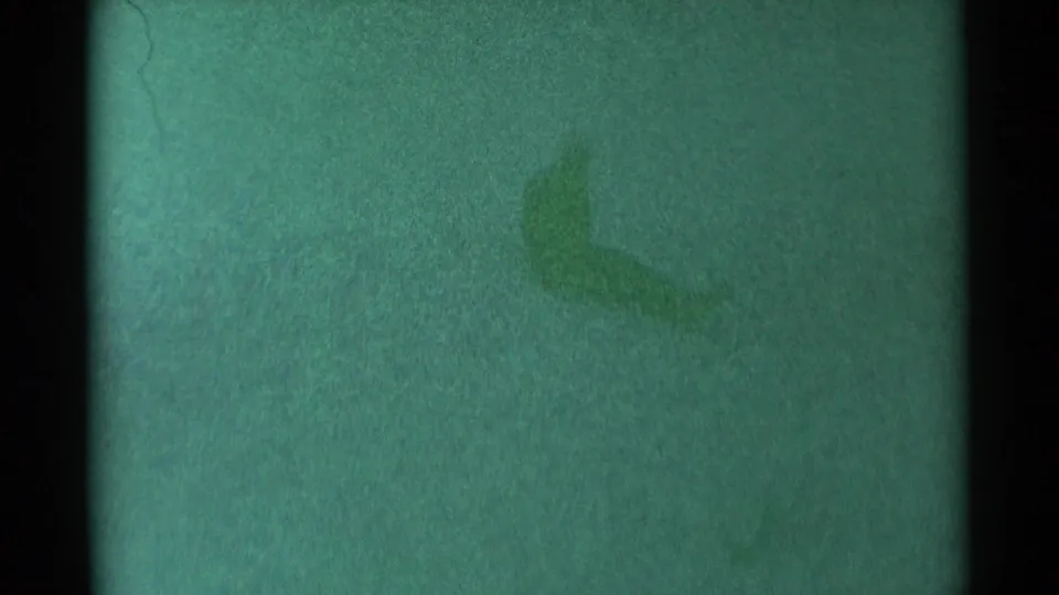 Soft South Dakota winter home-movie frame showing green snow, heavy grain, a dark right border, and indistinct film or surface marks.