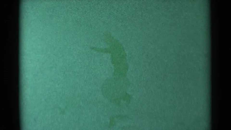 A person appears low on the snow near the sled as the South Dakota sledding moment turns into a small mishap.