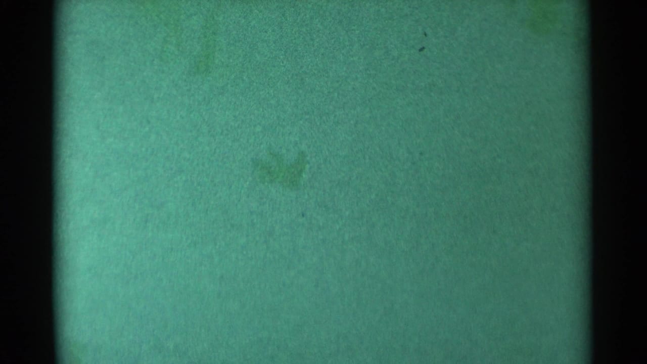 Green textured frame divided by a dark vertical strip with faint marks.